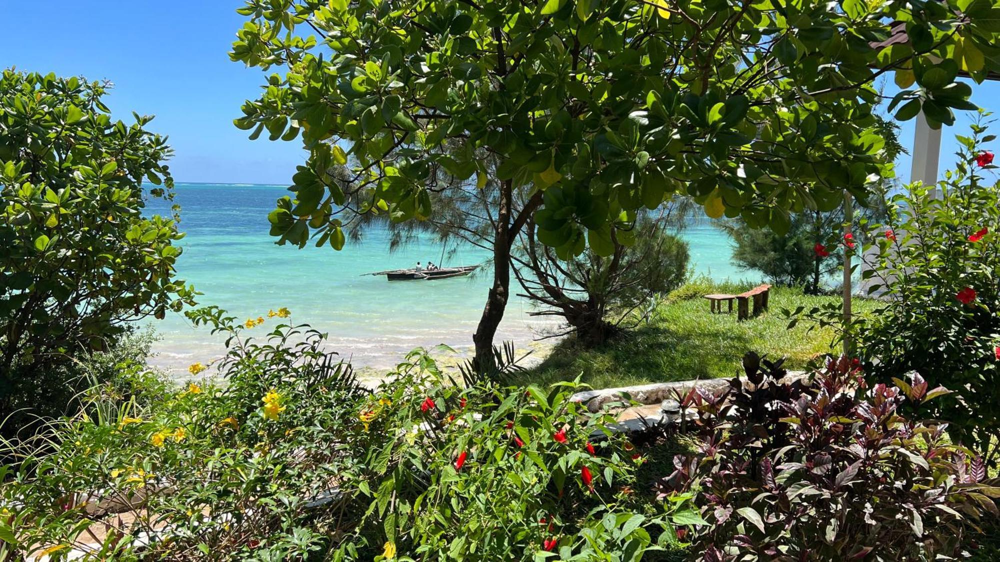 Z-Lodge Zanzibar Kiwengwa  Buitenkant foto